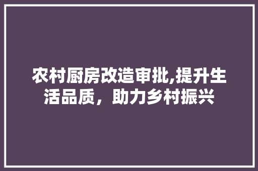 农村厨房改造审批,提升生活品质，助力乡村振兴