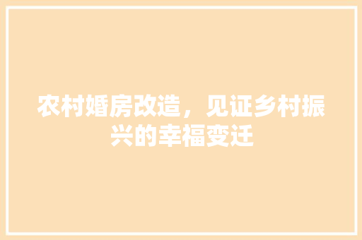 农村婚房改造，见证乡村振兴的幸福变迁