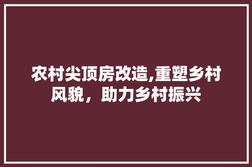 农村尖顶房改造,重塑乡村风貌，助力乡村振兴