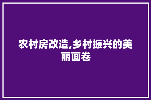 农村房改造,乡村振兴的美丽画卷 装修知识