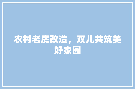 农村老房改造，双儿共筑美好家园 装修知识