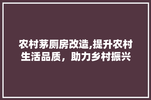 农村茅厕房改造,提升农村生活品质，助力乡村振兴 家居设计