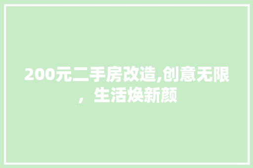 200元二手房改造,创意无限，生活焕新颜 家居装饰