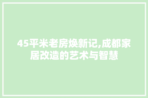 45平米老房焕新记,成都家居改造的艺术与智慧，成都老房子改造装修。