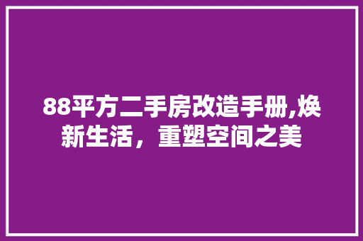 88平方二手房改造手册,焕新生活，重塑空间之美 二手房