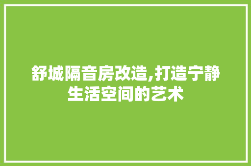 舒城隔音房改造,打造宁静生活空间的艺术