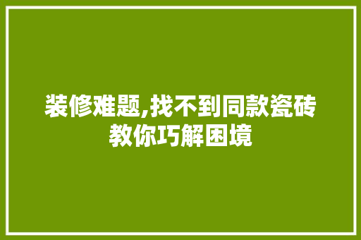 装修难题,找不到同款瓷砖教你巧解困境 装修难题,找不到同款瓷砖教你巧解困境 家居装饰