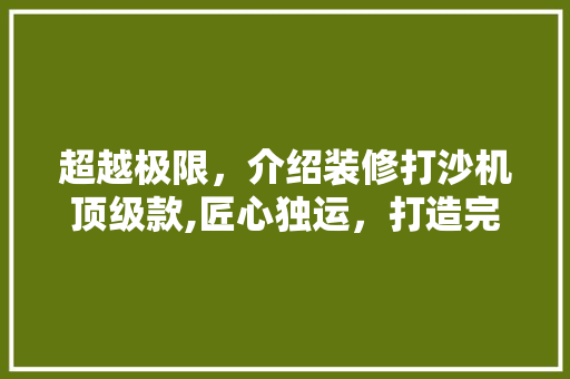 超越极限，介绍装修打沙机顶级款,匠心独运，打造完美空间 超越极限，介绍装修打沙机顶级款,匠心独运，打造完美空间 家居设计