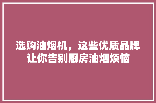 选购油烟机，这些优质品牌让你告别厨房油烟烦恼 选购油烟机，这些优质品牌让你告别厨房油烟烦恼 家居装饰