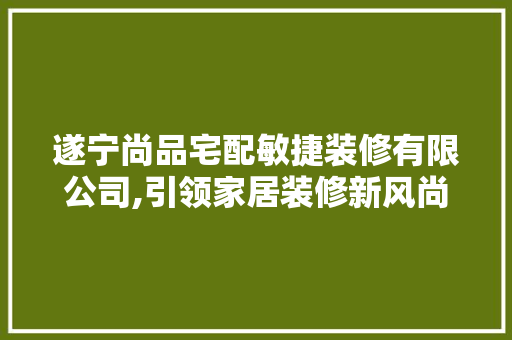 遂宁尚品宅配敏捷装修有限公司,引领家居装修新风尚，打造舒适生活空间 遂宁尚品宅配敏捷装修有限公司,引领家居装修新风尚，打造舒适生活空间 二手房