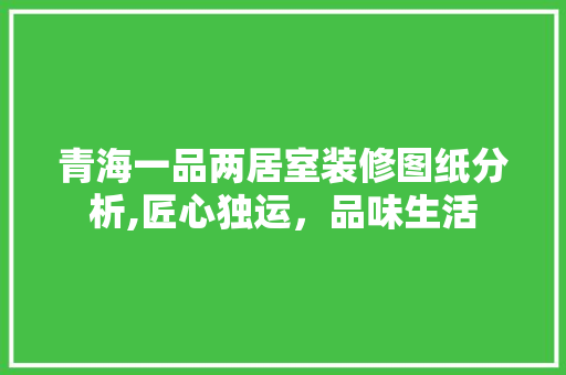 青海一品两居室装修图纸分析,匠心独运，品味生活 青海一品两居室装修图纸分析,匠心独运，品味生活 买房须知
