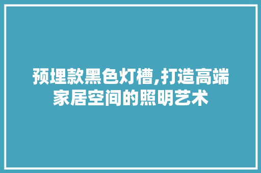 预埋款黑色灯槽,打造高端家居空间的照明艺术 预埋款黑色灯槽,打造高端家居空间的照明艺术 二手房