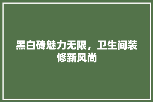 黑白砖魅力无限，卫生间装修新风尚 黑白砖魅力无限，卫生间装修新风尚 二手房