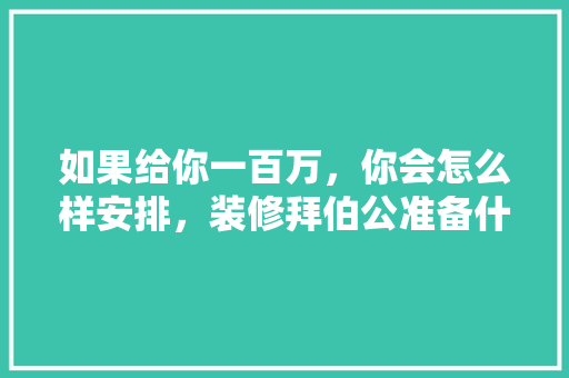 如果给你一百万，你会怎么样安排，装修拜伯公准备什么东西好。 如果给你一百万，你会怎么样安排，装修拜伯公准备什么东西好。 二手房