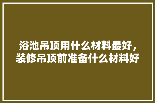 浴池吊顶用什么材料最好，装修吊顶前准备什么材料好。 浴池吊顶用什么材料最好，装修吊顶前准备什么材料好。 家居装饰