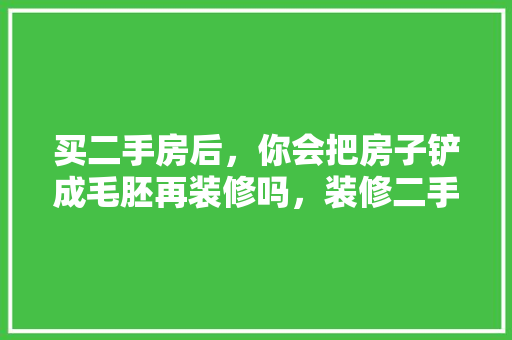 买二手房后，你会把房子铲成毛胚再装修吗，装修二手房前准备什么东西。 买二手房后，你会把房子铲成毛胚再装修吗，装修二手房前准备什么东西。 装修知识