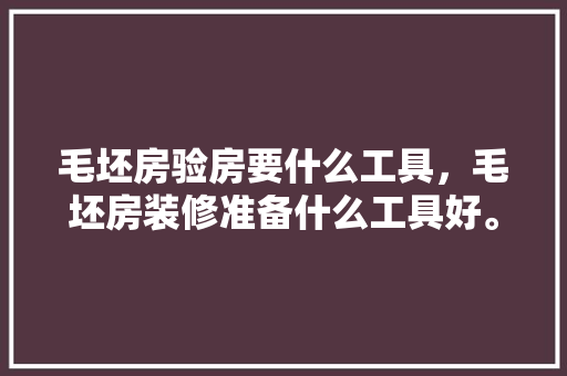 毛坯房验房要什么工具，毛坯房装修准备什么工具好。 毛坯房验房要什么工具，毛坯房装修准备什么工具好。 二手房