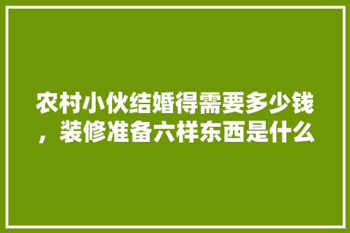 农村小伙结婚得需要多少钱，装修准备六样东西是什么意思。 农村小伙结婚得需要多少钱，装修准备六样东西是什么意思。 家居设计