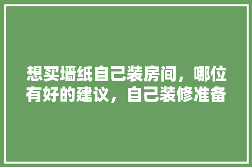 想买墙纸自己装房间，哪位有好的建议，自己装修准备什么工具好。 想买墙纸自己装房间，哪位有好的建议，自己装修准备什么工具好。 二手房