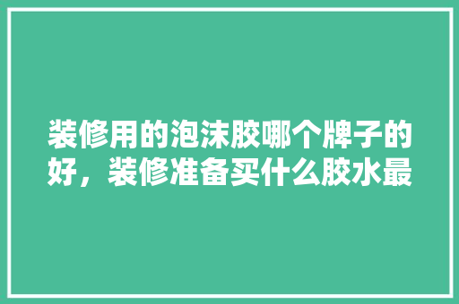 装修用的泡沫胶哪个牌子的好，装修准备买什么胶水最好呢。 装修用的泡沫胶哪个牌子的好，装修准备买什么胶水最好呢。 家居装饰