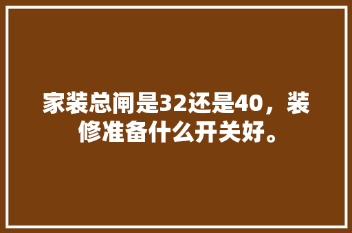 家装总闸是32还是40，装修准备什么开关好。 家装总闸是32还是40，装修准备什么开关好。 二手房