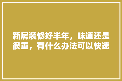 新房装修好半年，味道还是很重，有什么办法可以快速除甲醛吗，装修半年前做什么准备工作。 新房装修好半年，味道还是很重，有什么办法可以快速除甲醛吗，装修半年前做什么准备工作。 家居装饰