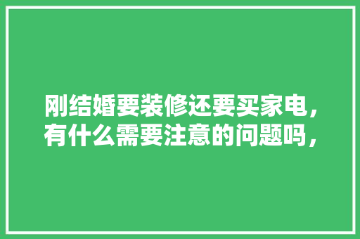 刚结婚要装修还要买家电，有什么需要注意的问题吗，装修前准备的东西叫什么名字。 刚结婚要装修还要买家电，有什么需要注意的问题吗，装修前准备的东西叫什么名字。 装修知识