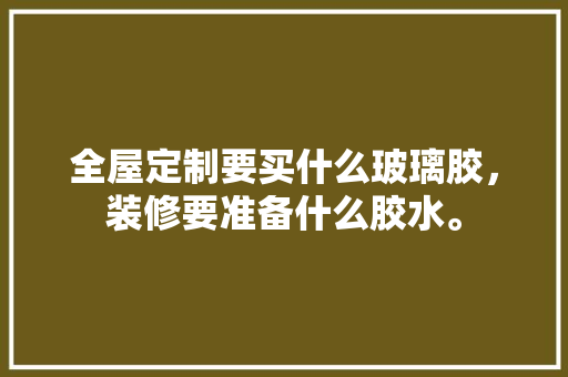 全屋定制要买什么玻璃胶，装修要准备什么胶水。 全屋定制要买什么玻璃胶，装修要准备什么胶水。 二手房