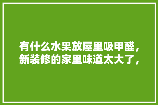 有什么水果放屋里吸甲醛，新装修的家里味道太大了，装修准备什么水果好呢。 有什么水果放屋里吸甲醛，新装修的家里味道太大了，装修准备什么水果好呢。 二手房