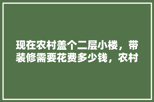 现在农村盖个二层小楼，带装修需要花费多少钱，农村装修准备什么材料好。 现在农村盖个二层小楼，带装修需要花费多少钱，农村装修准备什么材料好。 家居设计