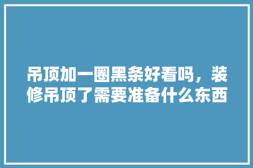 吊顶加一圈黑条好看吗，装修吊顶了需要准备什么东西。 吊顶加一圈黑条好看吗，装修吊顶了需要准备什么东西。 家居装饰