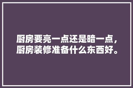厨房要亮一点还是暗一点，厨房装修准备什么东西好。 厨房要亮一点还是暗一点，厨房装修准备什么东西好。 家居设计