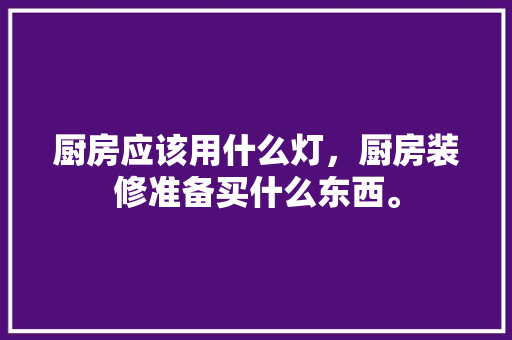 厨房应该用什么灯，厨房装修准备买什么东西。 厨房应该用什么灯，厨房装修准备买什么东西。 二手房