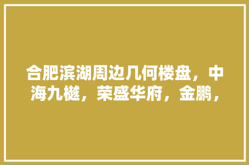 合肥滨湖周边几何楼盘，中海九樾，荣盛华府，金鹏，以及一些其，巢湖准备装修的房子叫什么名字。 合肥滨湖周边几何楼盘，中海九樾，荣盛华府，金鹏，以及一些其，巢湖准备装修的房子叫什么名字。 二手房