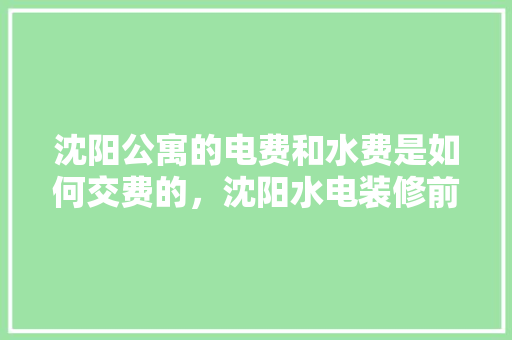 沈阳公寓的电费和水费是如何交费的，沈阳水电装修前准备什么东西。 沈阳公寓的电费和水费是如何交费的，沈阳水电装修前准备什么东西。 家居设计
