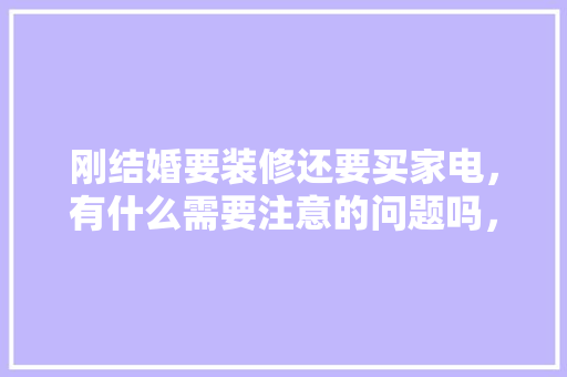 刚结婚要装修还要买家电，有什么需要注意的问题吗，装修交车准备什么工作。 刚结婚要装修还要买家电，有什么需要注意的问题吗，装修交车准备什么工作。 家居装饰
