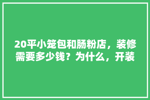 20平小笼包和肠粉店，装修需要多少钱？为什么，开装修店前期准备什么东西。 20平小笼包和肠粉店，装修需要多少钱？为什么，开装修店前期准备什么东西。 家居设计
