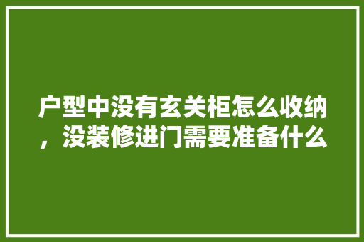户型中没有玄关柜怎么收纳，没装修进门需要准备什么东西。 户型中没有玄关柜怎么收纳，没装修进门需要准备什么东西。 家居设计