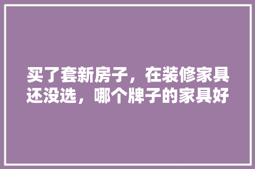 买了套新房子，在装修家具还没选，哪个牌子的家具好，装修最先准备什么家具好呢。 买了套新房子，在装修家具还没选，哪个牌子的家具好，装修最先准备什么家具好呢。 家居设计