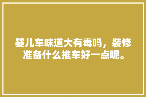 婴儿车味道大有毒吗，装修准备什么推车好一点呢。 婴儿车味道大有毒吗，装修准备什么推车好一点呢。 二手房