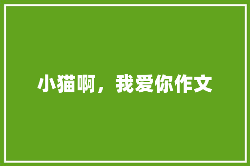 内墙用什么材料装修性价比高，房间装修女生准备什么东西。 内墙用什么材料装修性价比高，房间装修女生准备什么东西。 买房须知