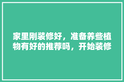 家里刚装修好，准备养些植物有好的推荐吗，开始装修了需要准备什么东西。 家里刚装修好，准备养些植物有好的推荐吗，开始装修了需要准备什么东西。 家居装饰