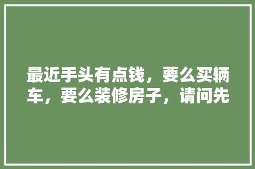 最近手头有点钱，要么买辆车，要么装修房子，请问先弄哪项比较好，首套房装修准备什么材料好。 最近手头有点钱，要么买辆车，要么装修房子，请问先弄哪项比较好，首套房装修准备什么材料好。 装修知识