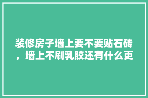 装修房子墙上要不要贴石砖，墙上不刷乳胶还有什么更好的材料呢，墙壁装修需要准备什么材料。 装修房子墙上要不要贴石砖，墙上不刷乳胶还有什么更好的材料呢，墙壁装修需要准备什么材料。 家居设计
