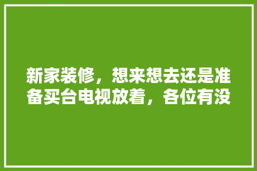 新家装修，想来想去还是准备买台电视放着，各位有没有什么推荐呀，屋里装修要做什么准备好呢。 新家装修，想来想去还是准备买台电视放着，各位有没有什么推荐呀，屋里装修要做什么准备好呢。 家居装饰