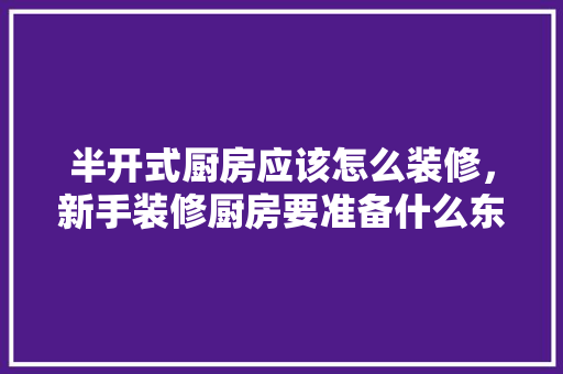 半开式厨房应该怎么装修，新手装修厨房要准备什么东西。 半开式厨房应该怎么装修，新手装修厨房要准备什么东西。 买房须知