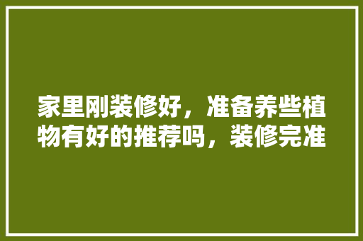 家里刚装修好，准备养些植物有好的推荐吗，装修完准备什么绿植最好呢。 家里刚装修好，准备养些植物有好的推荐吗，装修完准备什么绿植最好呢。 二手房