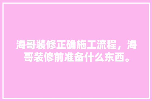 海哥装修正确施工流程，海哥装修前准备什么东西。 海哥装修正确施工流程，海哥装修前准备什么东西。 买房须知