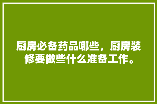 厨房必备药品哪些，厨房装修要做些什么准备工作。 厨房必备药品哪些，厨房装修要做些什么准备工作。 家居设计