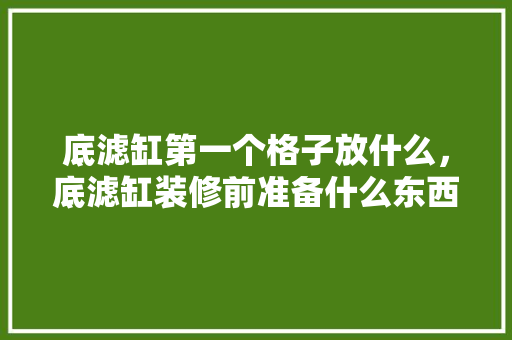 底滤缸第一个格子放什么，底滤缸装修前准备什么东西。 底滤缸第一个格子放什么，底滤缸装修前准备什么东西。 二手房